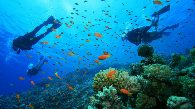 Scuba Diving Goa - RentMyBike